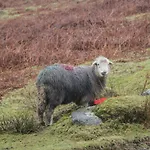 Gillercombe Casa de Férias Bowness-on-Windermere